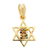 Gold Filled Mini Twelve Tribes Star of David Pendant